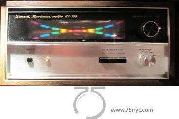 Enlarged view of image